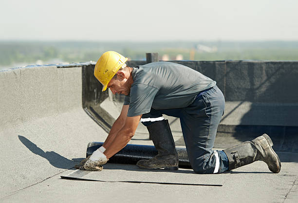Best Professional Insulation Contractor  in Houghton, NY