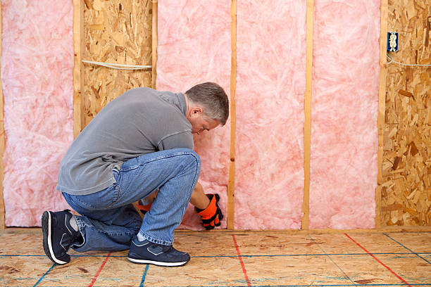 Best Insulation Repair Services  in Houghton, NY
