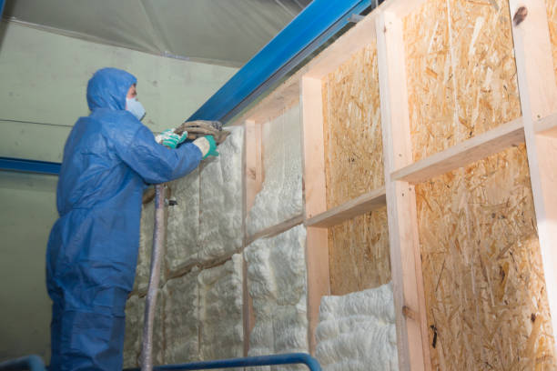 Best Best Insulation Companies  in Houghton, NY