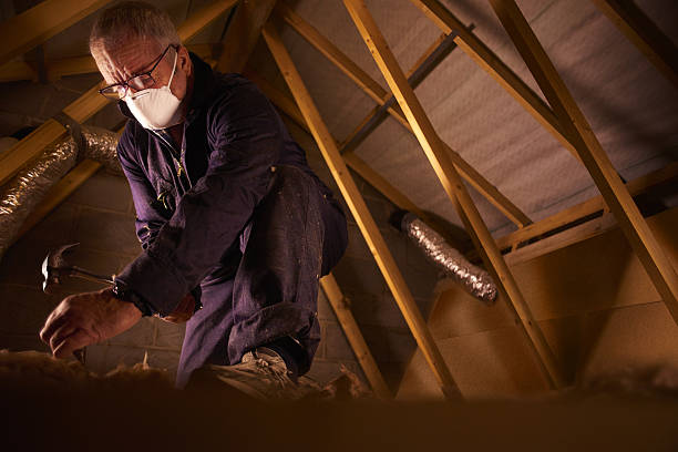 Best Commercial Insulation Contractor  in Houghton, NY