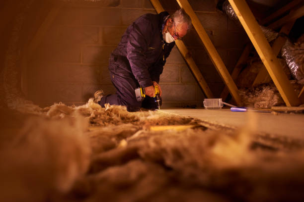 Best Attic Insulation Installation  in Houghton, NY